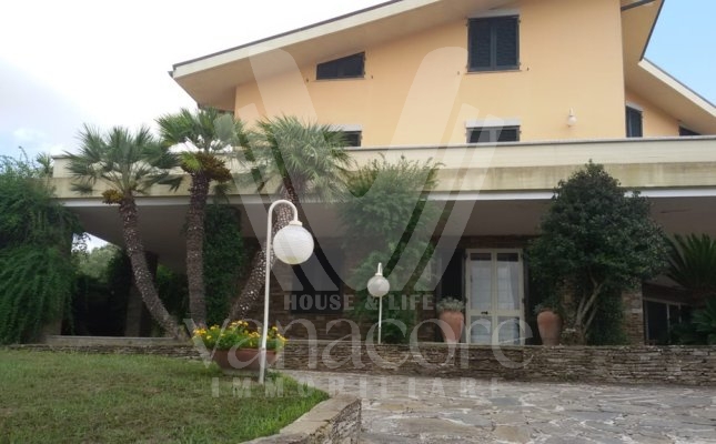 53f53701-68a2-41ea-b0ea-4d7cb11bdf69