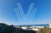 55 Vista 55 Vista