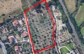 Area Edificabile S.Orsola Storica Area Edificabile S.Orsola Storica